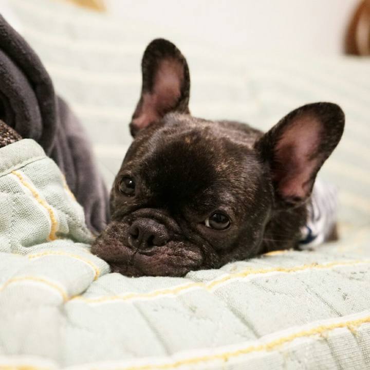 0a9cf4e1 2b23 4022 bfb7 b393003f3a16 1508416448126