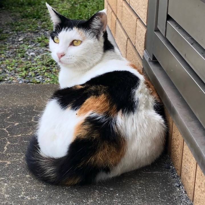 0a9cf732 8de4 46c0 8ca0 db64cdc241a9 1664112489159