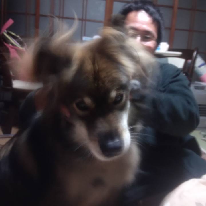 0a9d0101 ac88 4ee7 a905 86d8e83b77f4 1637908660488