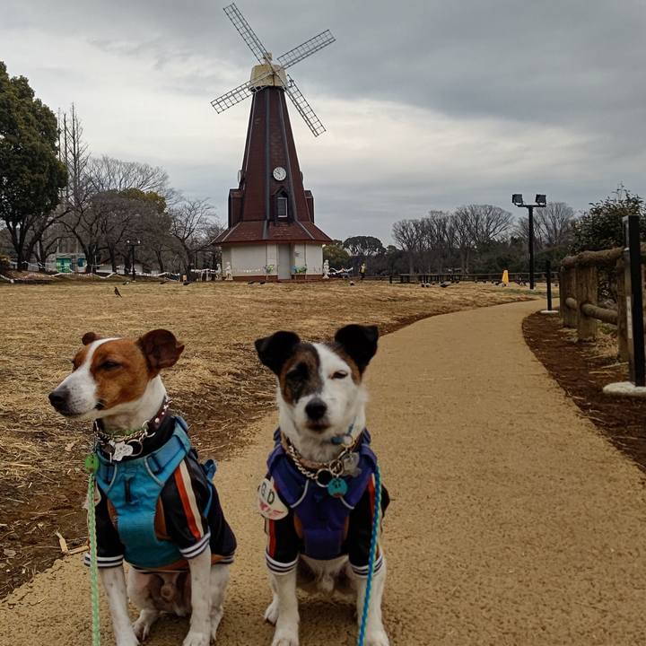 0a9d056f 2333 43b1 af55 eac3f0b95aca 1644721208571