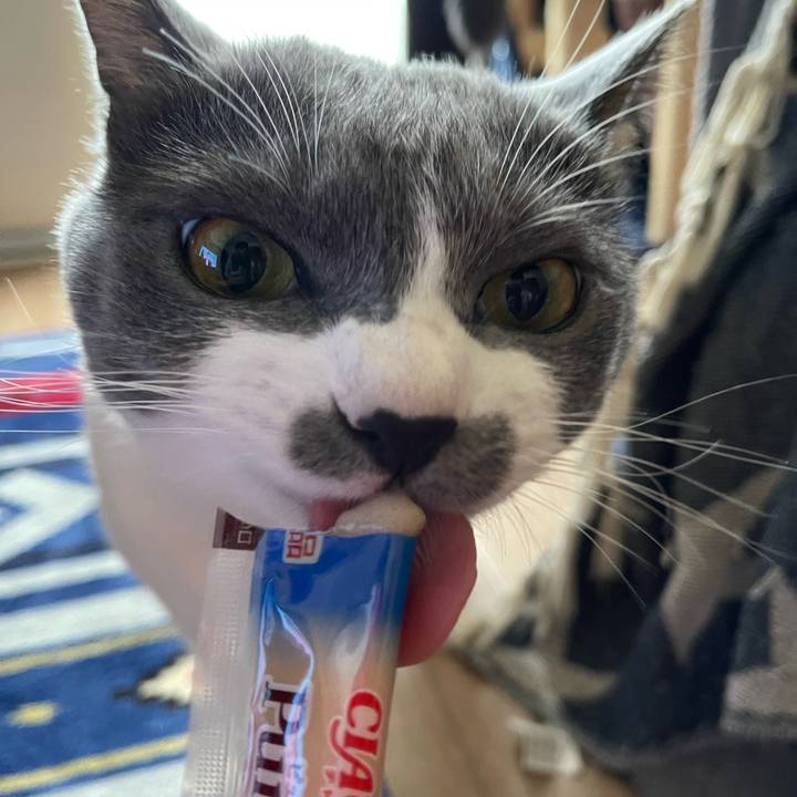 0a9d150e 201b 499f b229 8c562e9075ca 1661684131378