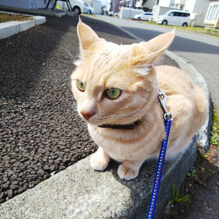 0a9d4468 1bd1 4f74 a294 572d9777c0d1 1618538810436