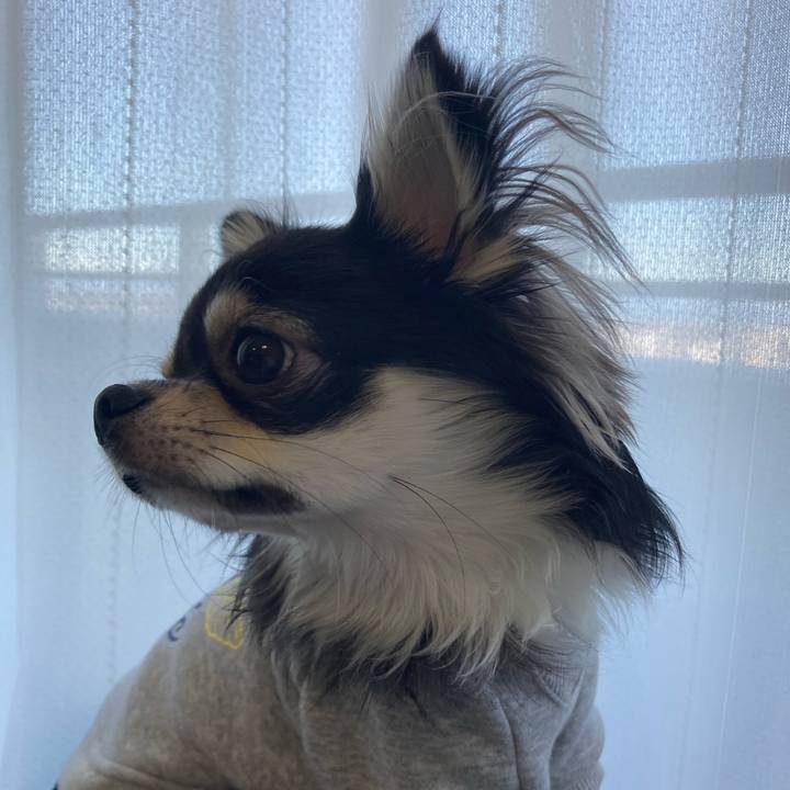 0a9d6afe 9800 44b0 8d11 eec92f3dda3c 1606537999092