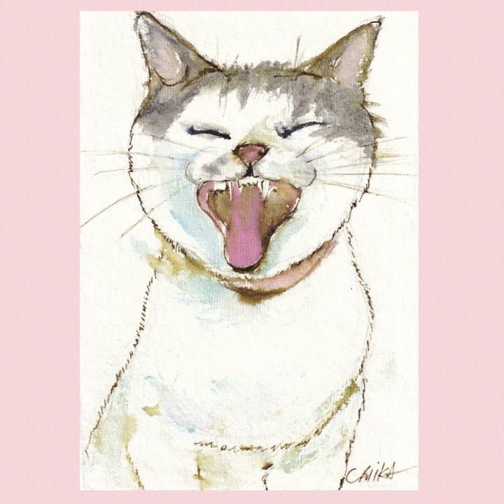 0a9d78f0 90e4 4afd 89d2 2804e6046a22 1762255190172