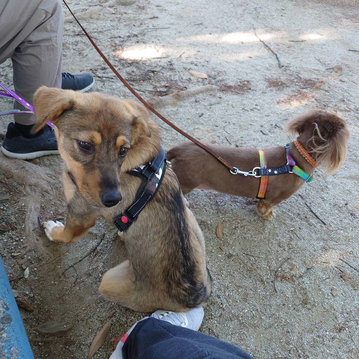 0a9d823e 6923 4fc4 a26e 737333eda50e 1686095752761