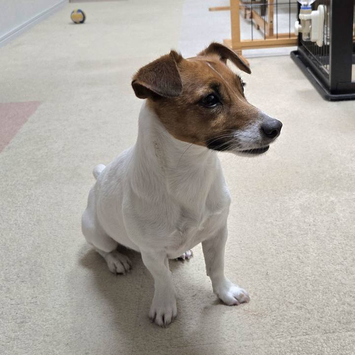 0a9d8f80 990a 4be2 848e a53968c2507c 1772097586780