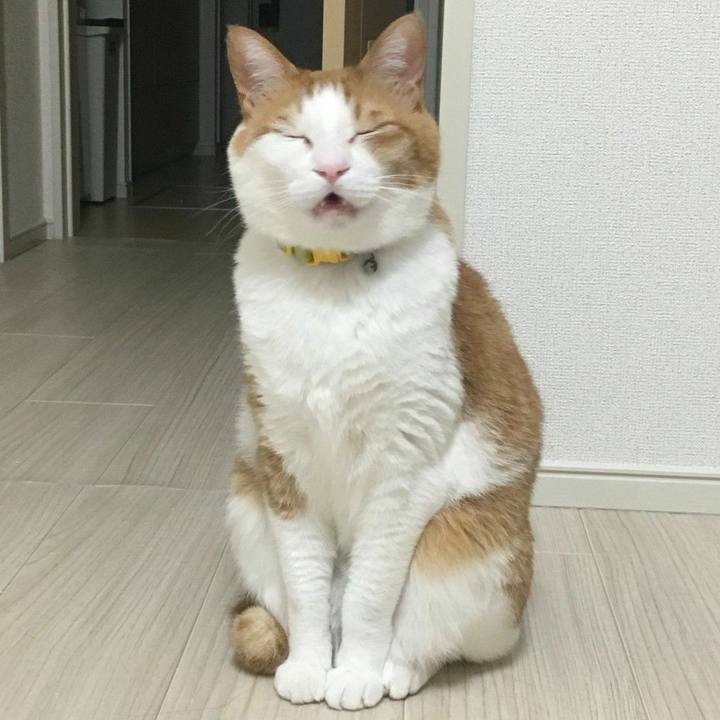 0a9d9689 bc81 4ba6 a57d c599c1856ea9 1555933608614