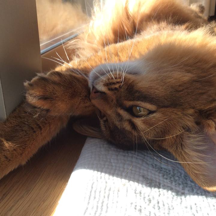 0a9daea1 5f1d 426c bb92 26796394a113 1609469111522