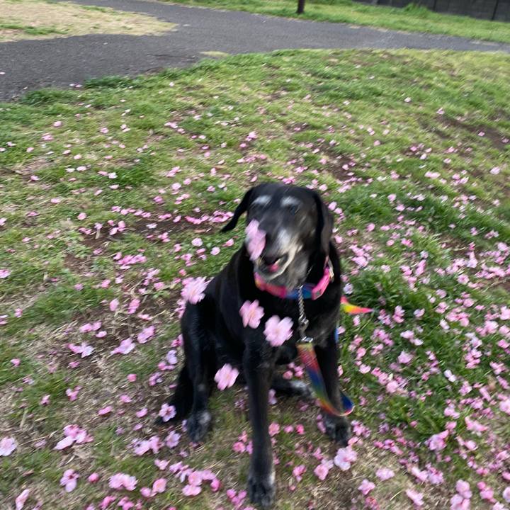 0a9de035 d21d 4568 b4bd 39433ddc90f7 1711694514983