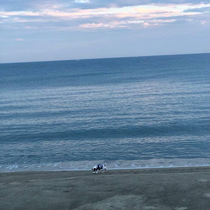 0a9df9df a6dd 4c59 a5c0 14335a917653 1689476853478