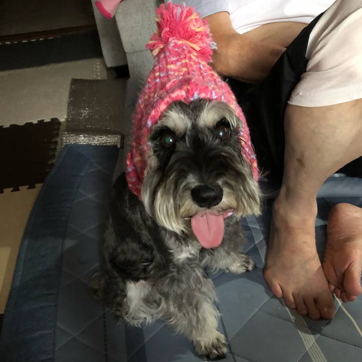 0a9e0639 4a22 4bd4 b9ff e99785898114 1692770851990