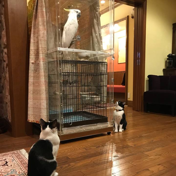 0a9e0d37 82ef 43df a6b9 2bc2a644dcb8 1538912572709