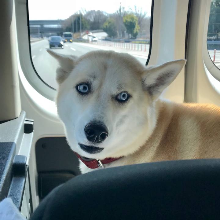 0a9e1f39 134f 4da8 8238 396cdeb9445b 1520653256347