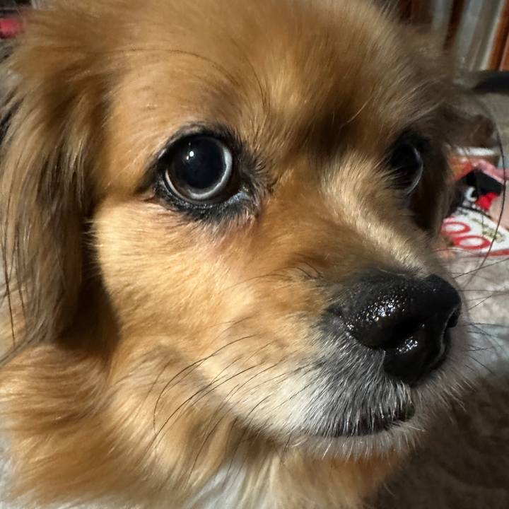 0a9e8783 150b 4d88 9620 83b8d6e5b06e 1704922794703