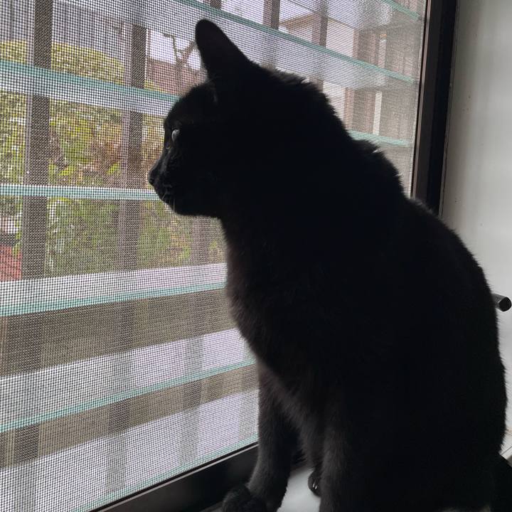 0a9e9642 4a5d 4555 b21b 19589a9164ca 1647560006547