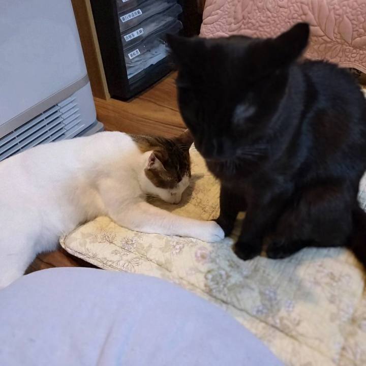 0a9ea275 919d 4fce 9ecf fda7ffcfde9e 1764065790139