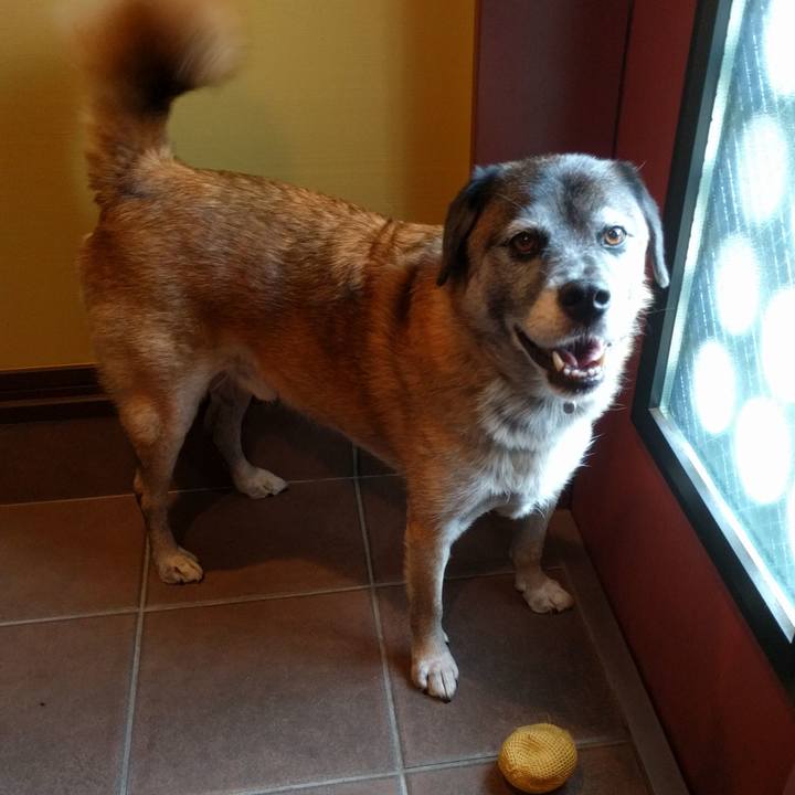 0a9ed5cf 4517 4ad5 801c 2560dd42cae9 1738198265499