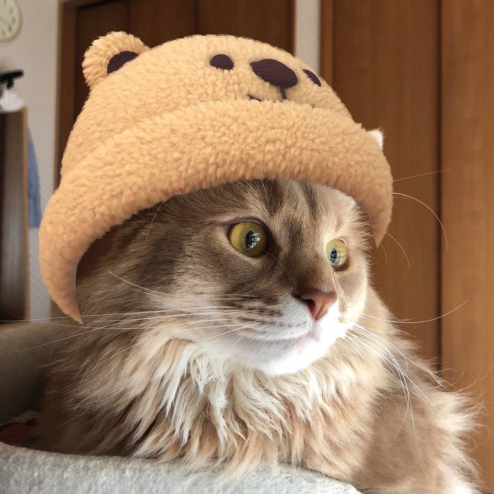 0a9efdf7 e889 4491 a2b8 328134612b67 1617779196228