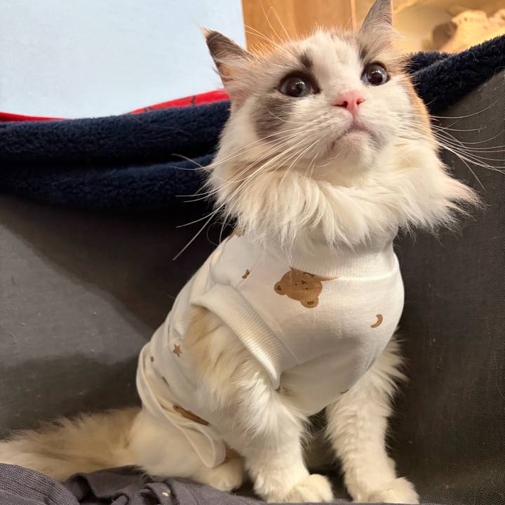 0a9f1090 f187 44a9 8baf 429476c92fbc 1766580377277