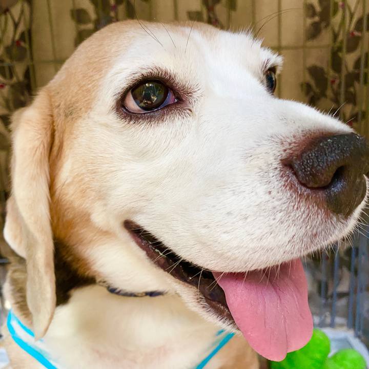 0a9f2019 f7dd 4b55 bd78 cef483de02b6 1596606288818