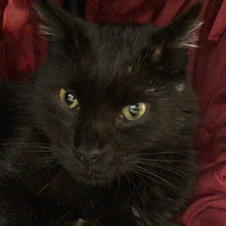 0a9f2ac0 ce36 40de ad50 34d5d07180ed 1619707017160