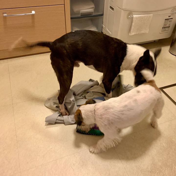 0a9f3f23 c824 4303 9d0a 4b3ac6ae5bdb 1602245946532