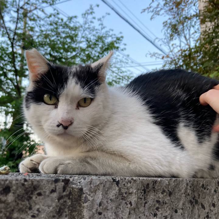 0a9f4ea4 b3cb 4266 8a08 67e5edff17bf 1776581956499