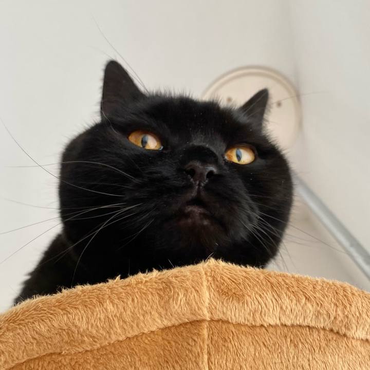 0a9f6368 b134 44a4 9e45 86982424308a 1609809352613