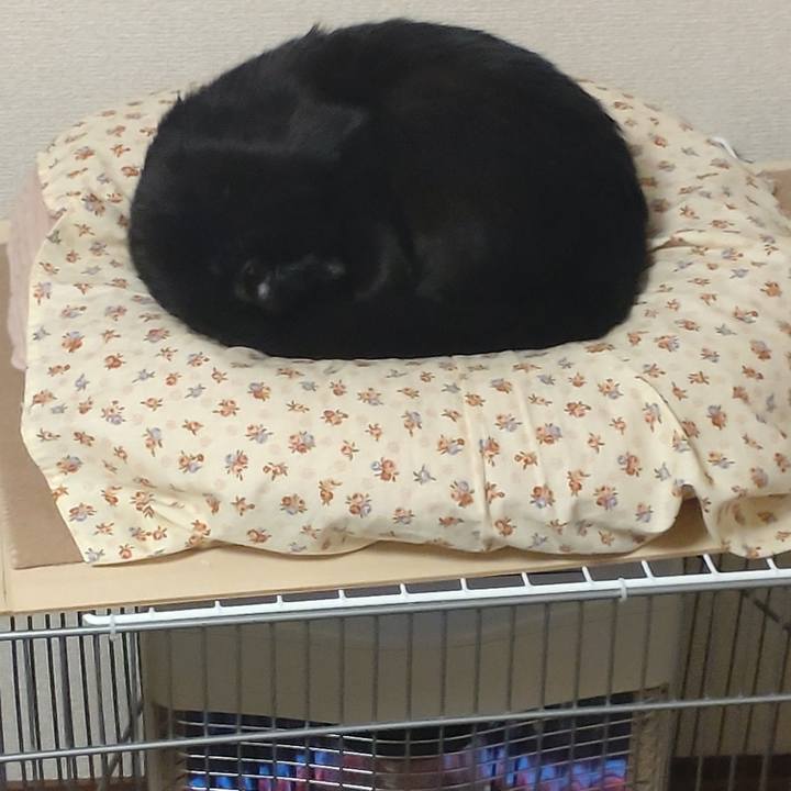 0a9f6b9a 01dd 4ffe a0cf 3ce871a88c14 1704007948425