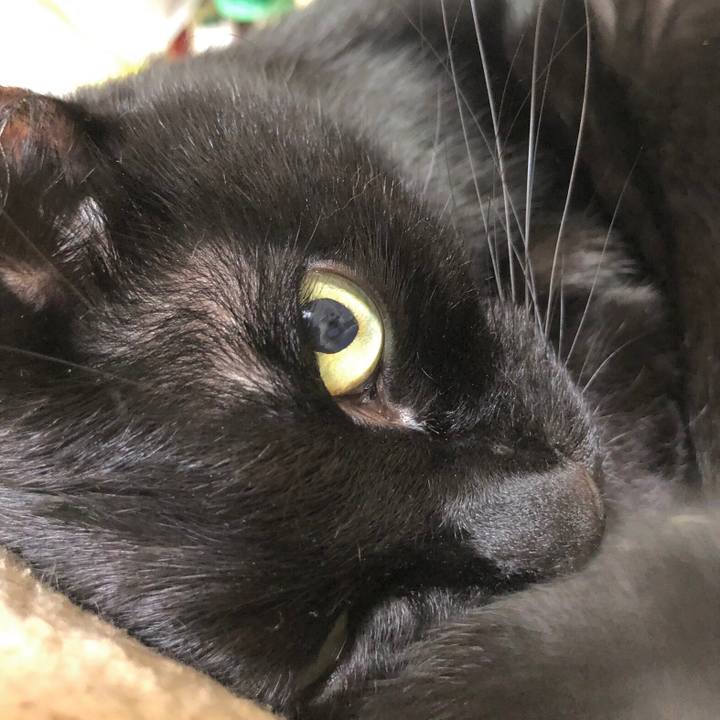 0a9f7067 5e38 4cdd a236 95cc949f24a1 1612613563124