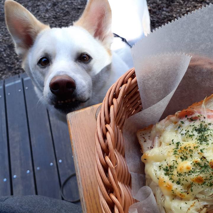 0a9fa29f 3297 42bd 9292 b4342bb4a2a9 1670644075947