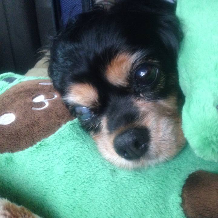 0a9fd533 6dbc 4147 ade2 8bf90700c263 1526284870924