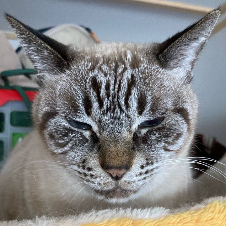 0a9fe685 291b 4fbe 96c4 44c4f6383d77 1767511038445