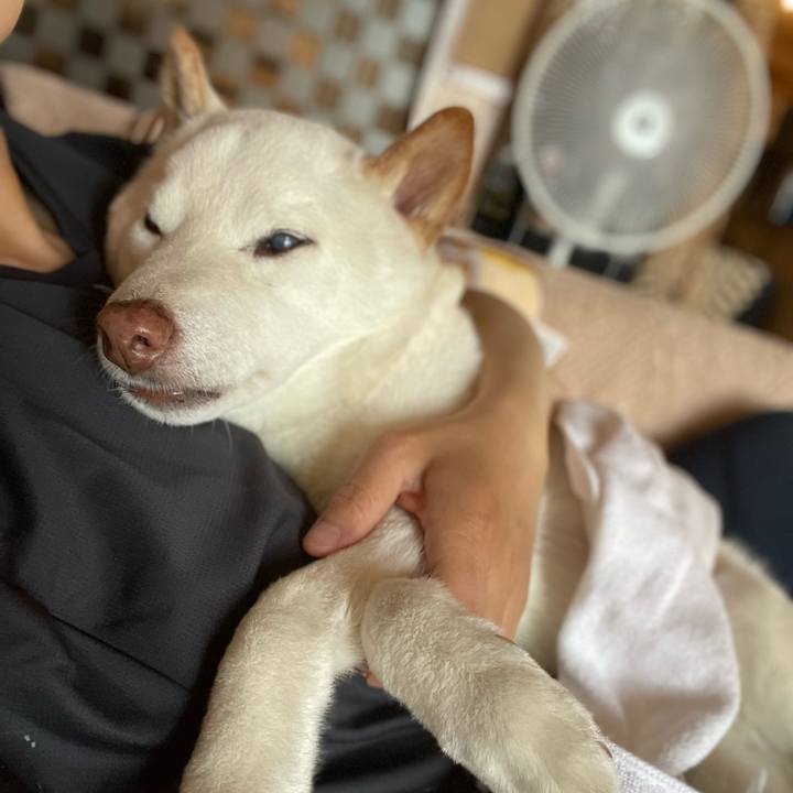 0a9ffa28 7fe0 495c a73a 922d9cc93d0a 1649848854042