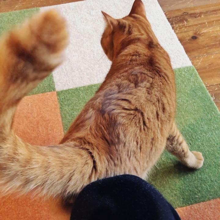 0a9ffbb4 6850 4e21 b458 8e900f82e215 1744407619339