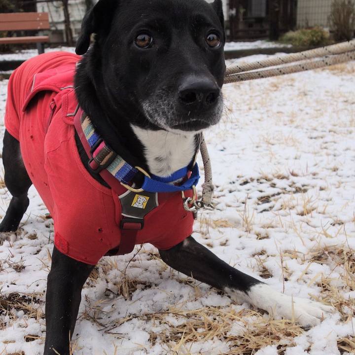 0aa007d6 e8ef 4abe b4c4 b1be0ba50fd3 1644801018707