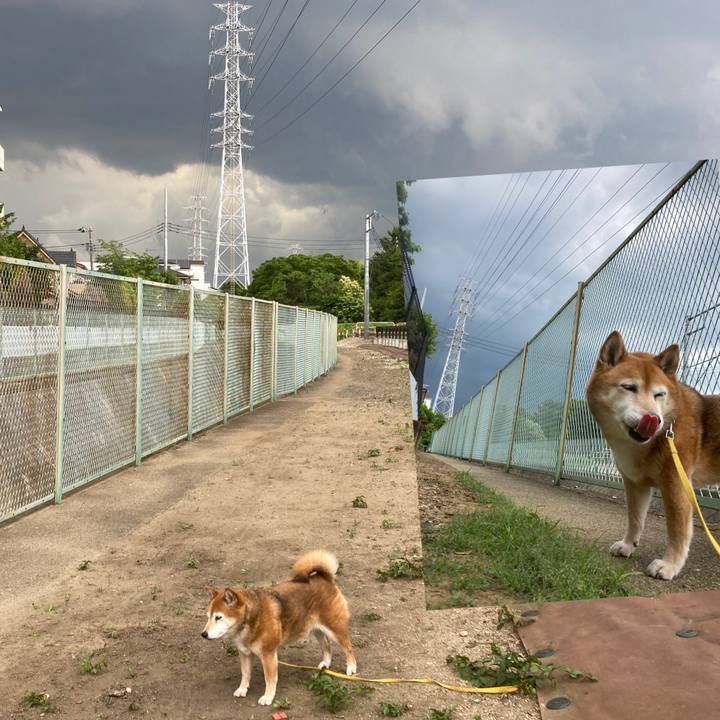 0aa02f94 e270 4b30 8dd1 fb0e429e0a07 1654239001997