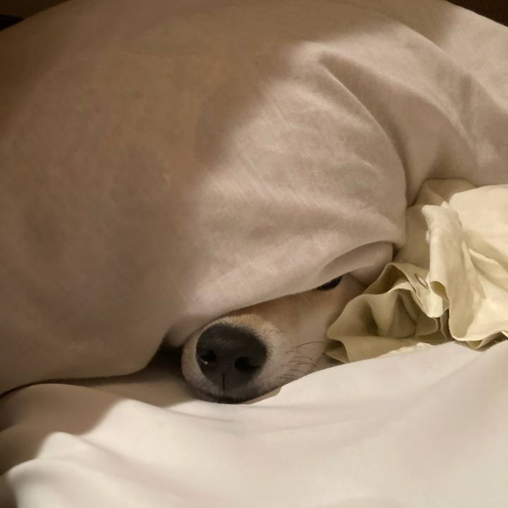 0aa03368 faa4 48a5 9e83 65792595792d 1706045613963