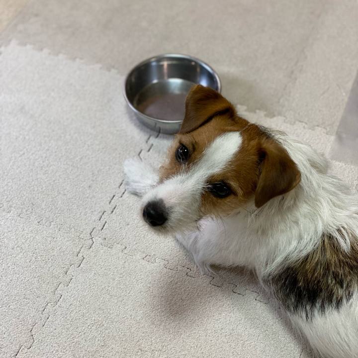 0aa03c5e f9bd 4a2f 8620 b2e9ffd54834 1629066508699