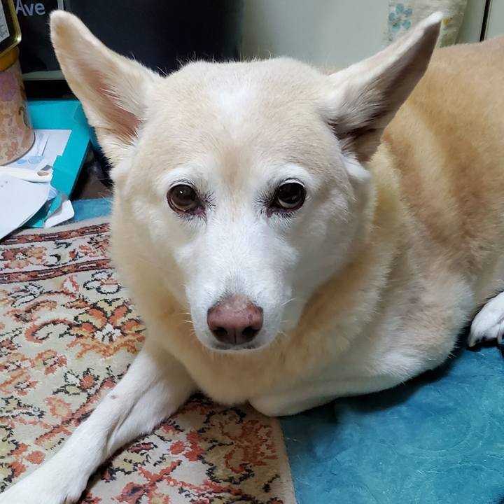 0aa06834 1af7 400b 9173 e2dc9e2a1c73 1601058314453