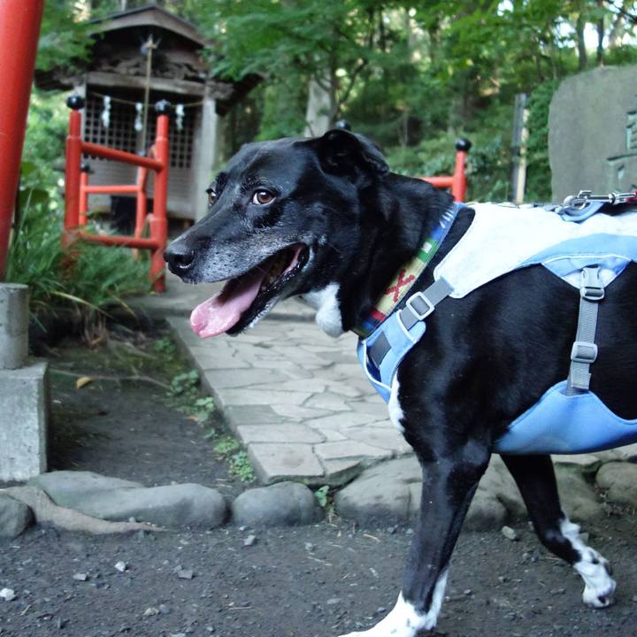 0aa09266 68b7 4a9a 8fea 9239e1e3e78e 1721434493813