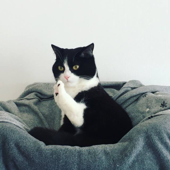 0aa09d81 bfdf 4f52 baa7 edccbf465074 1583662163633