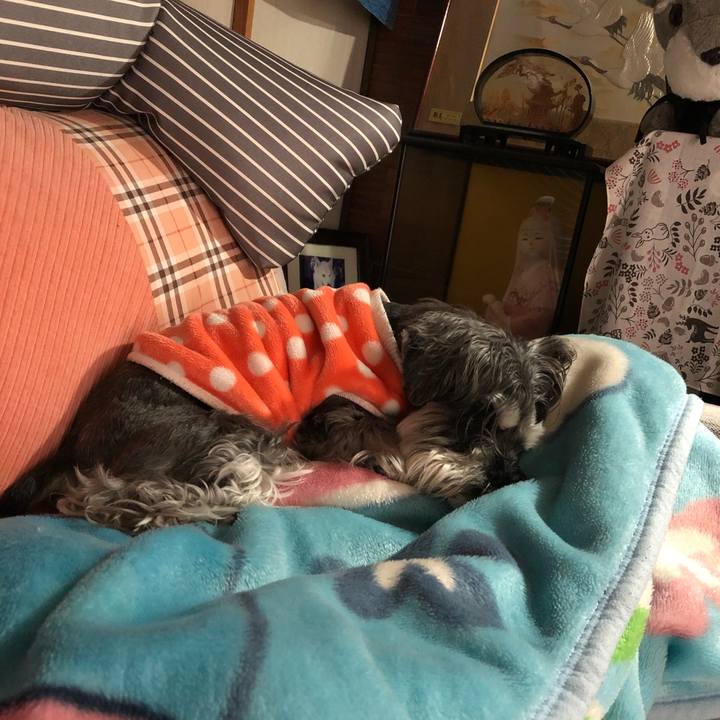 0aa0df82 063c 4f38 a395 3aa92cf8bf00 1683428361692