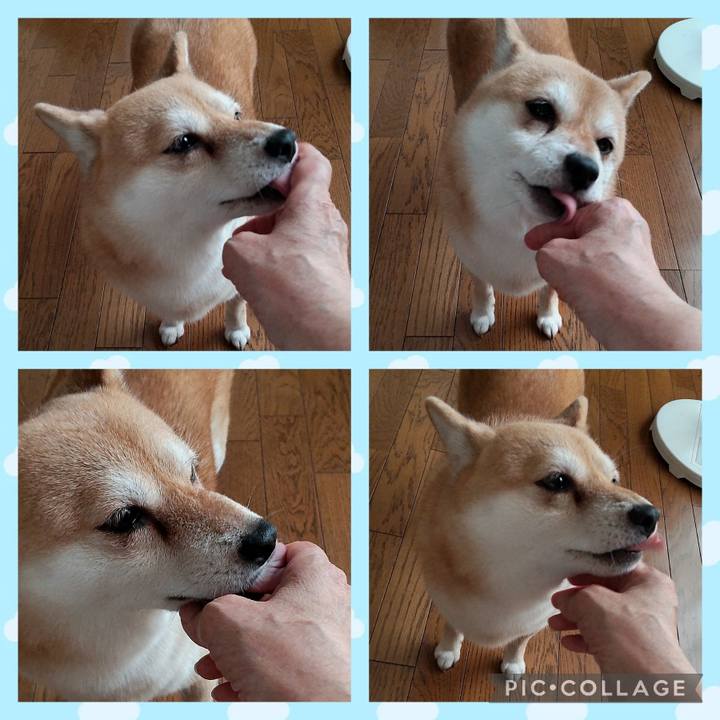 0aa0f710 b343 4c2d 8c8b 7e9d98721658 1755137992270