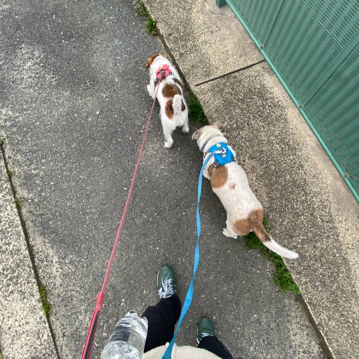 0aa0f746 76da 4e6c a1d8 fd127ad84c18 1711579504650