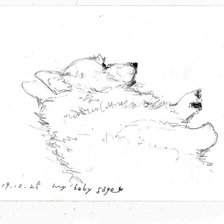 0aa13a06 2dec 4d50 bcd9 2572d2b02bac 1571993282038