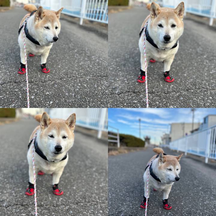 0aa14e4c 75de 42e6 8343 863a016a27e6 1735548677514