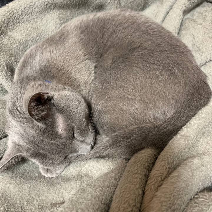 0aa17137 4835 47e3 a4b8 db42f078cfab 1674435371217