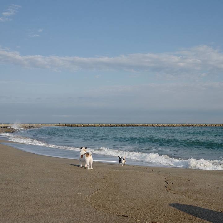 0aa1c222 743a 4073 8ecb 7947a952b877 1539919395912