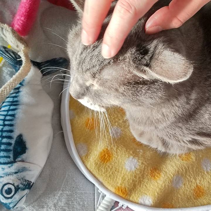 0aa1e79e df40 4ed8 a6e4 9cf8c0907b51 1666823314197